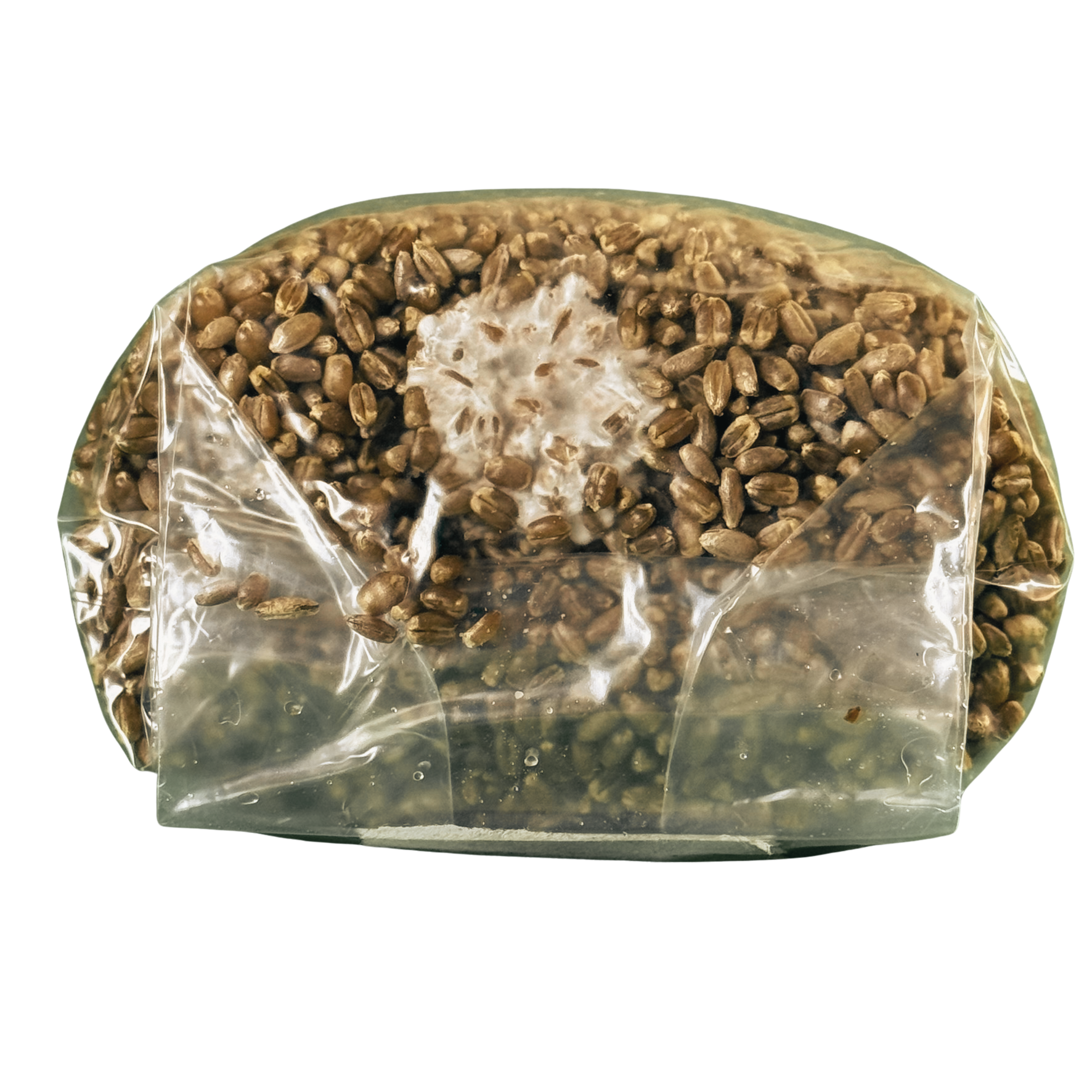 Complete DubTub Refill Kit