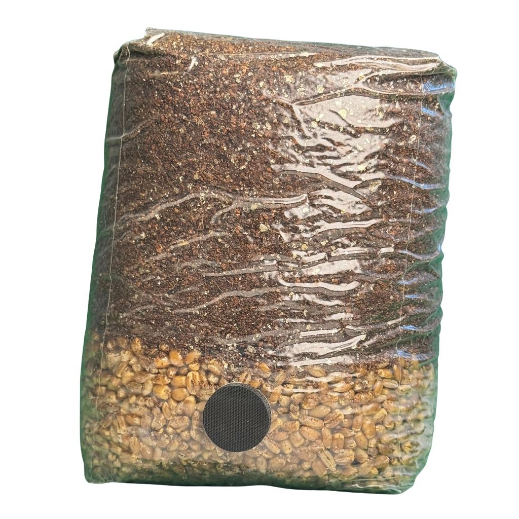 The Master All-In-One (AIO) Grow Bag for Mushroom Cultivation