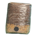 The Master All-In-One (AIO) Grow Bag for Mushroom Cultivation