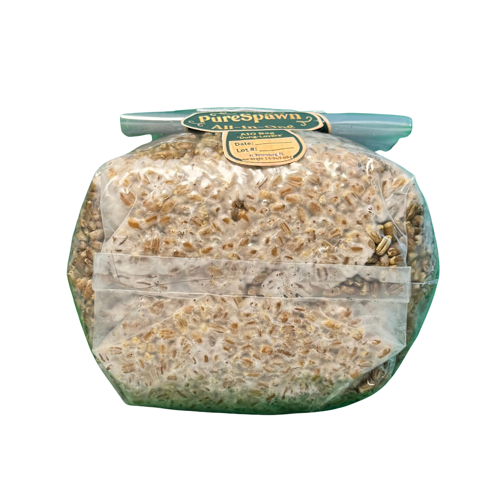 The Starter All-In-One (AIO) Grow Bag for Mushroom Cultivation