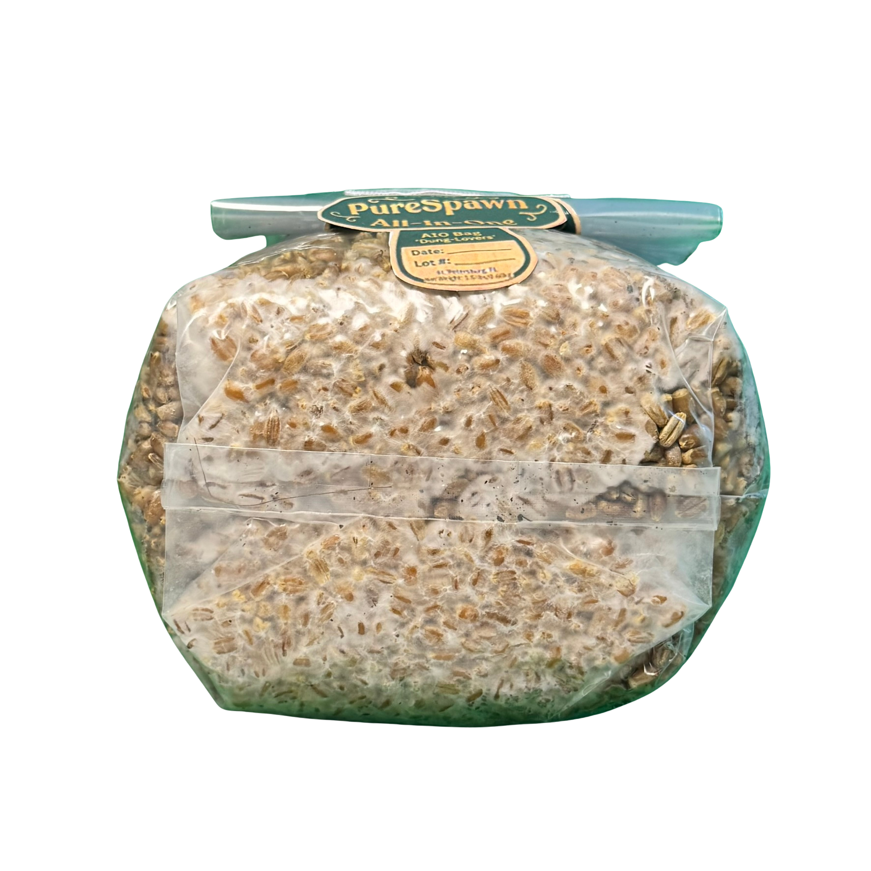 The Starter All-In-One (AIO) Grow Bag for Mushroom Cultivation