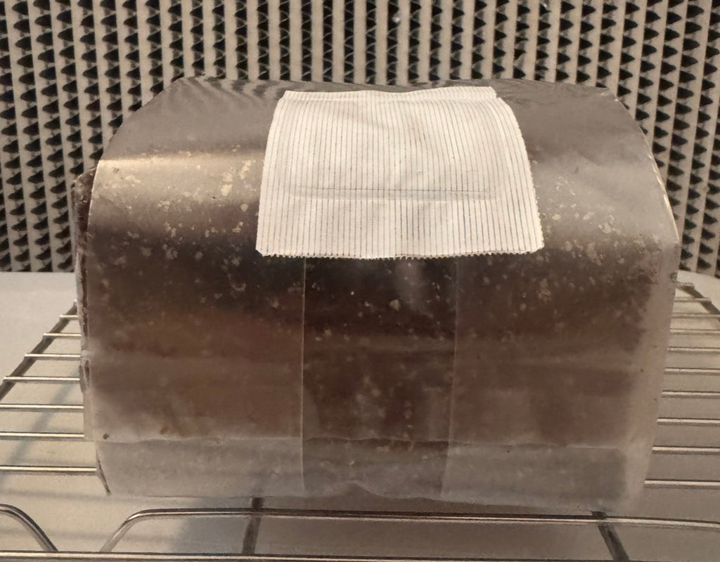 The Master All-In-One (AIO) Grow Bag for Mushroom Cultivation