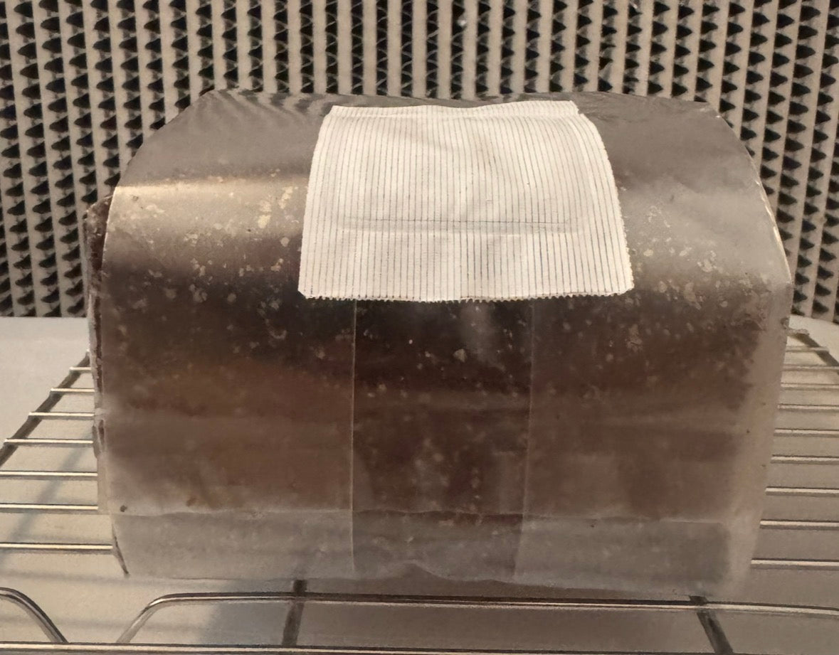 The Master All-In-One (AIO) Grow Bag for Mushroom Cultivation