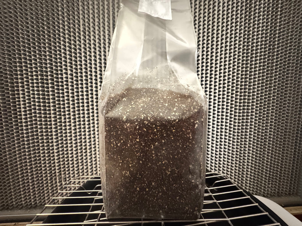Premium Bulk Substrate - CVG ‘OG Blend' Mushroom Subtrate