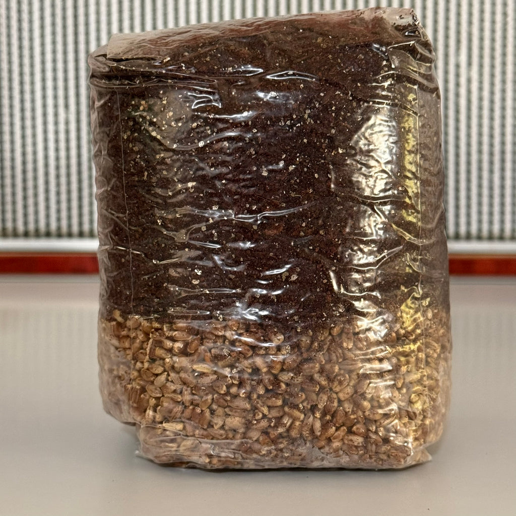 All-In-One (AIO) Grow Bag - 'The Master Bag'