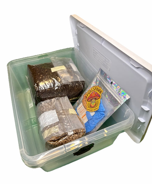 Complete DubTub XL Mushroom Grow Kit (12qt)