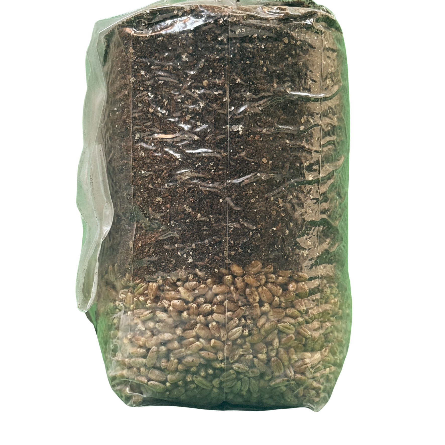 The Starter All-In-One (AIO) Grow Bag for Mushroom Cultivation