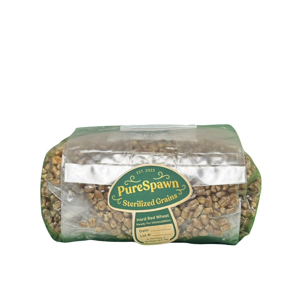 Premium Red Wheat Spawn Bag - Sterile Grains for Mushroom Cultivation