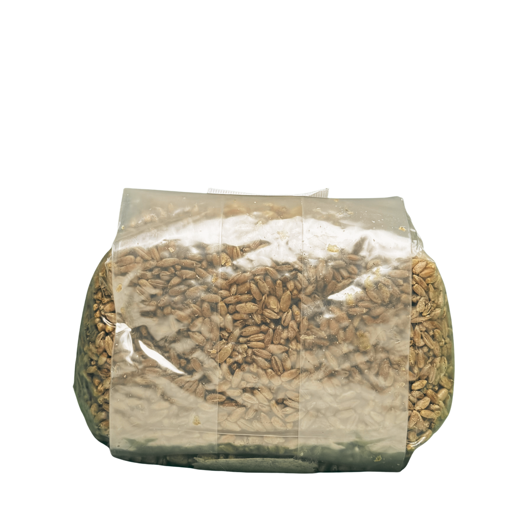 Premium Rye Berry Spawn Bag - Sterilized Grains for Mushroom Cultivation