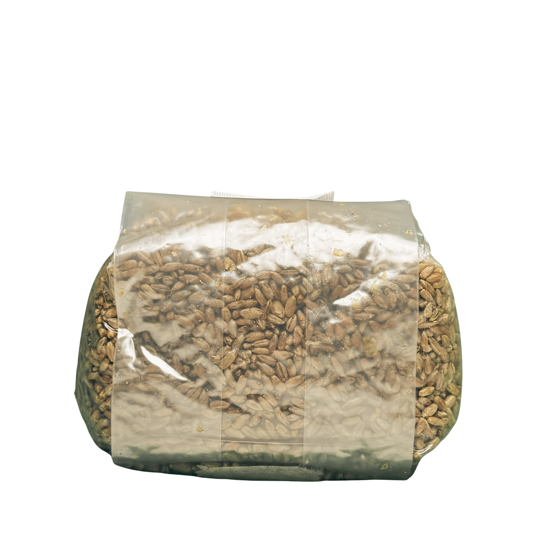 Myco-Markdown:  Sterilized Rye Berry Spawn Bag - 1lb. Bag