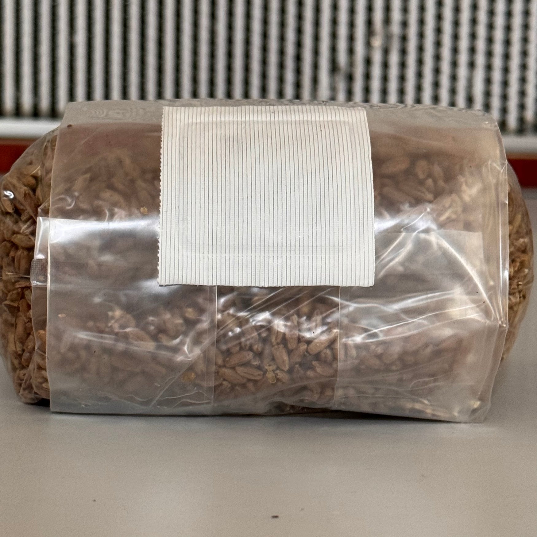 Premium Rye Berry Spawn Bag - Sterilized Grains for Mushroom Cultivation