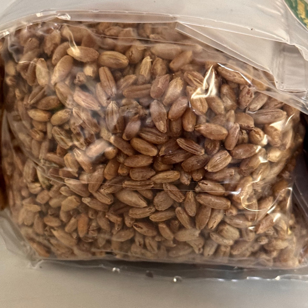Premium Rye Berry Spawn Bag - Sterilized Grains for Mushroom Cultivation