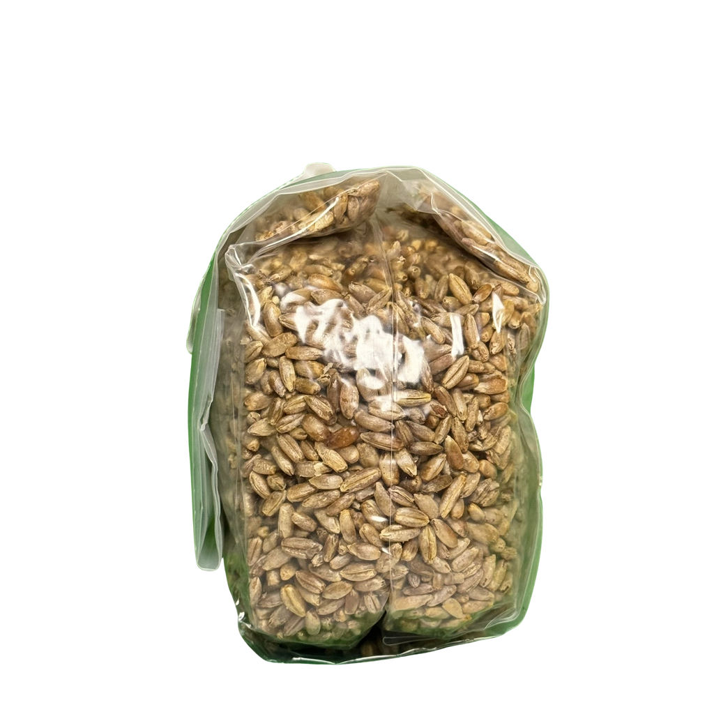 Premium Rye Berry Spawn Bag - Sterilized Grains for Mushroom Cultivation