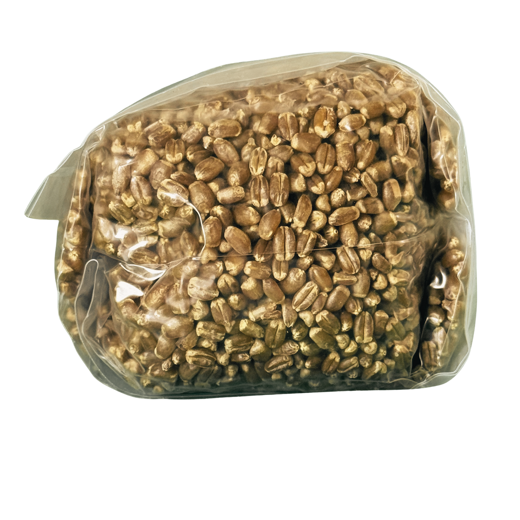 Premium Red Wheat Spawn Bag - Sterile Grains for Mushroom Cultivation