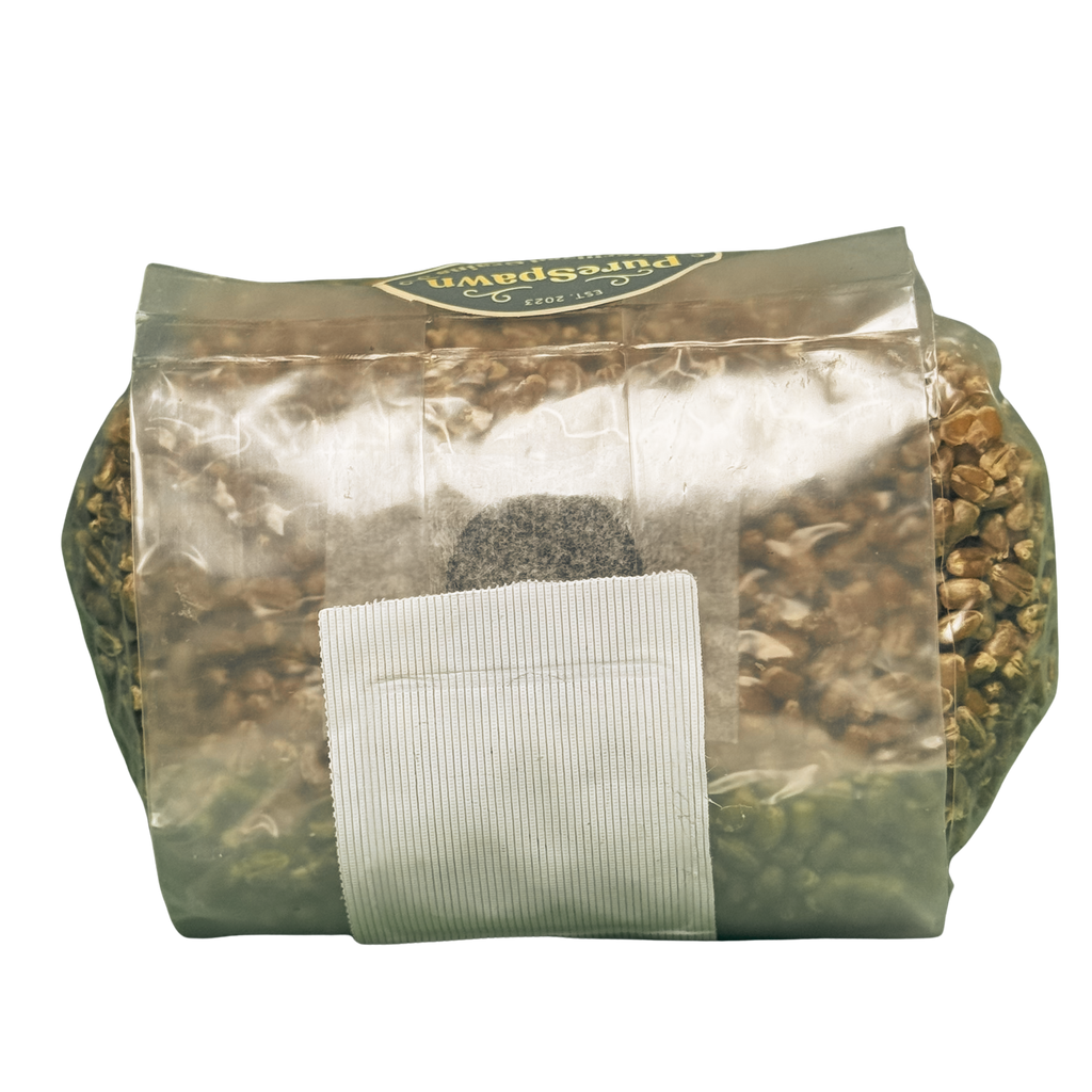 Premium Red Wheat Spawn Bag - Sterile Grains for Mushroom Cultivation