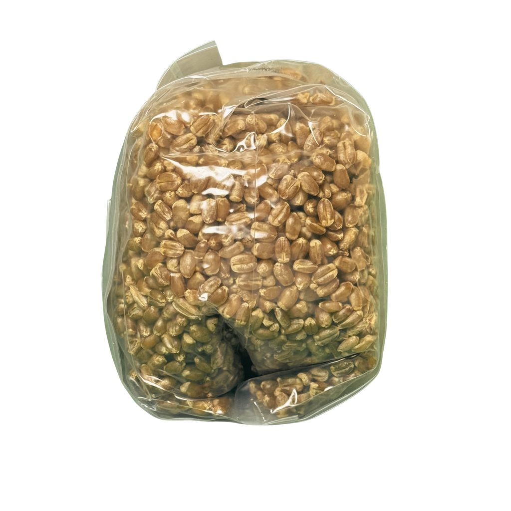 Premium Red Wheat Spawn Bag - Sterile Grains for Mushroom Cultivation