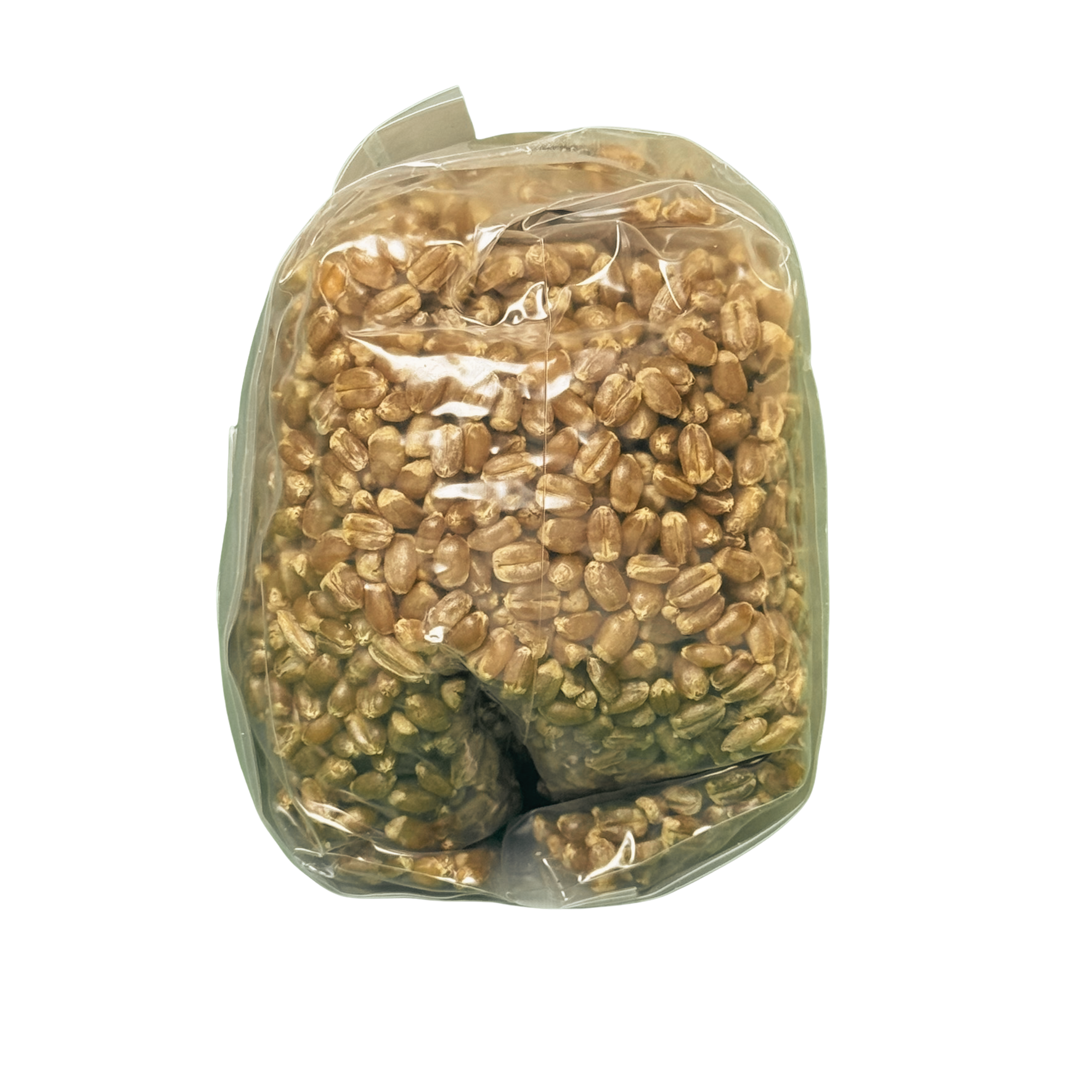 Sterilized Hard Red Wheat Grain Spawn Bag - READY FOR INOCCULATION